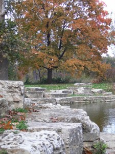 Oakfield Holey Boulders in Forest Park